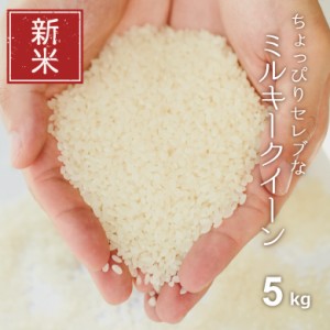 新米 米 お米 5kg ちょっぴりセレブな ミルキークイーン 国内産 令和5年産 精米5kg