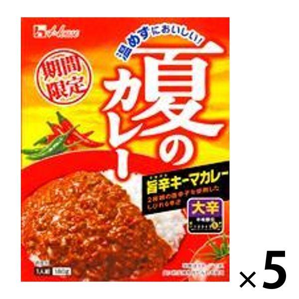 ハウス食品ハウス食品 温めずにおいしい！夏のカレー 旨辛キーマカレー 大辛 5個