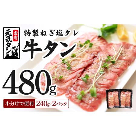 ふるさと納税 ねぎ塩牛たん 480g（240g×2）焼肉用 薄切り 訳あり サイズ不揃い 大阪府泉佐野市