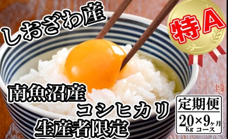 生産者限定 契約栽培 南魚沼しおざわ産コシヒカリ