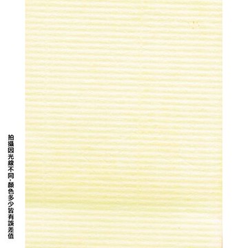 【文具通】全開粉彩紙1 粉膚 P1330003