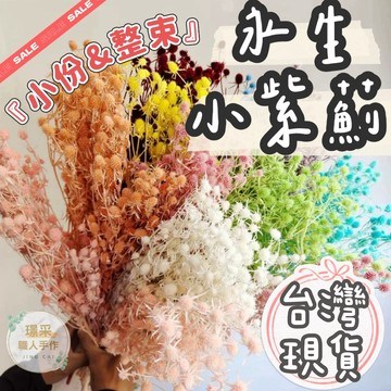 【璟采職人】60g永生小紫薊 刺芹 紫薊 情人果 乾燥花 乾燥果實 不凋花 永生花 居家佈置 乾燥花材 仿真花 捧花