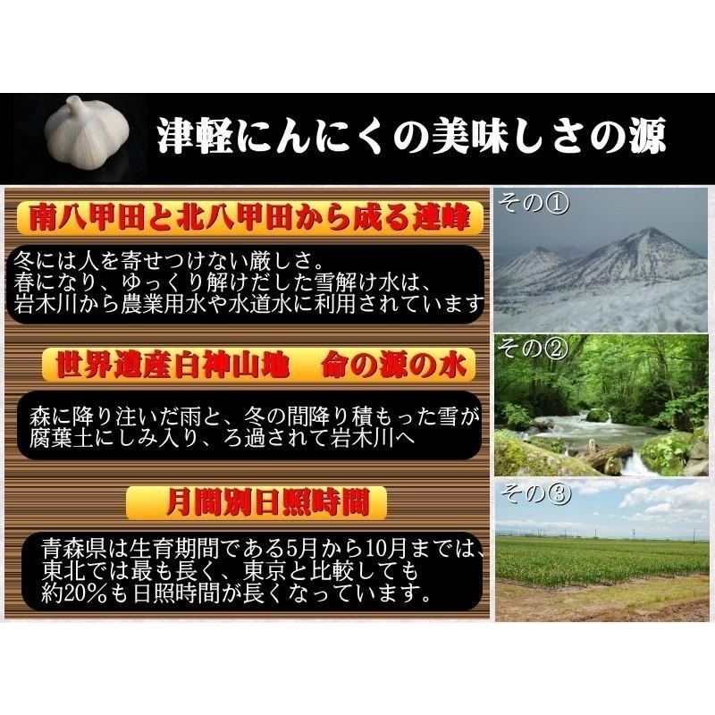 (産直) にんにく 青森県産 こちらは生産者直送のニンニクです 送料無料 バラ 皮剥げ有り 3kg にんにく 青森 業務用にんにく 津軽にんにく