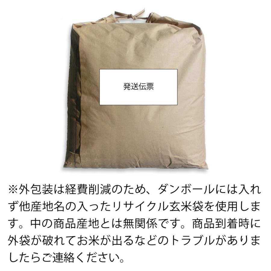 米 20kg お米 コシヒカリ ブレンド 白米 新米 5kg×4袋 送料別