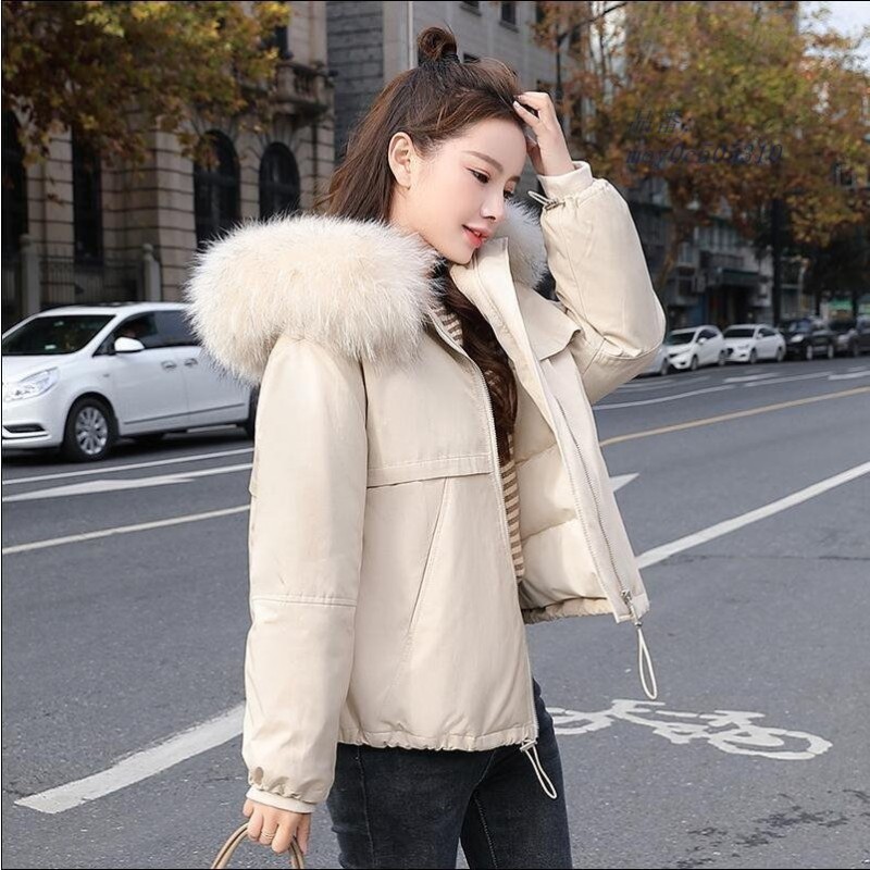 女性 暖かい カジュアル フォーマル 通勤 Ol 中綿 軽量 ロング丈 防寒 オフィス レディース ダウン ショート丈ジャケット ファッション アウター 防風 通販 Lineポイント最大0 5 Get Lineショッピング