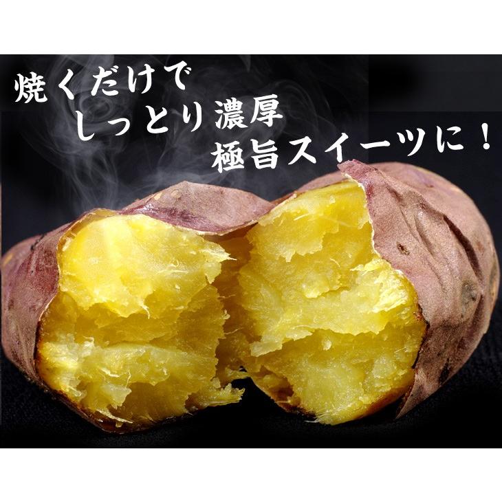 さつまいも 5kg 紅はるか大特価 熊本産 ご家庭用 送料無料 食品