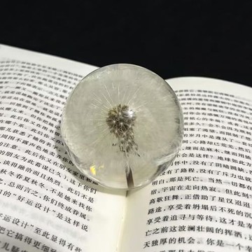 創意蒲公英干花標本水晶球樹脂天然木質工藝品擺件家居裝飾品禮物