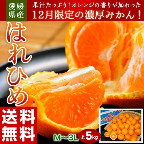 『はれひめ』愛媛県産柑橘 M〜3Lサイズ 約5kg 産地箱入 ※常温 送料無料