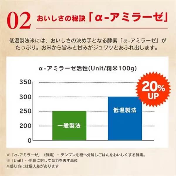 アイリス　低温製法米　おいしいごはん　180g×10P