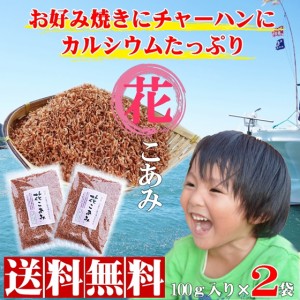 早春の三陸の味　花こあみ 100g×2パック hsk あみえび 干しエビ 干し海老 オキアミ メール便送料無料 DM便発送 アミエビ 小えび アキア