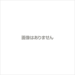 京都女子中学校 2021年度受験用 赤本 1033 (中学校別入試対策シリーズ)