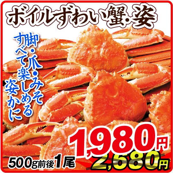 大特価 ボイルずわいがに 姿 1尾 500g前後 食品 冷凍便