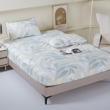 FOCA 吸濕排汗天絲床包枕套2件組  單人  青色煙雨