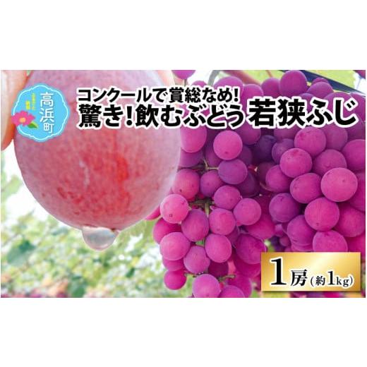 ふるさと納税 福井県 高浜町 受賞歴多数！飲むぶどう 若狭ふじ 1房(約1kg) ≪2024年8月中旬より順次発送≫