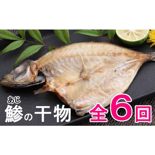 ふるさと納税 高知県 室戸市 年６回お届け！ナカイチ海産「アジの干物」定期便