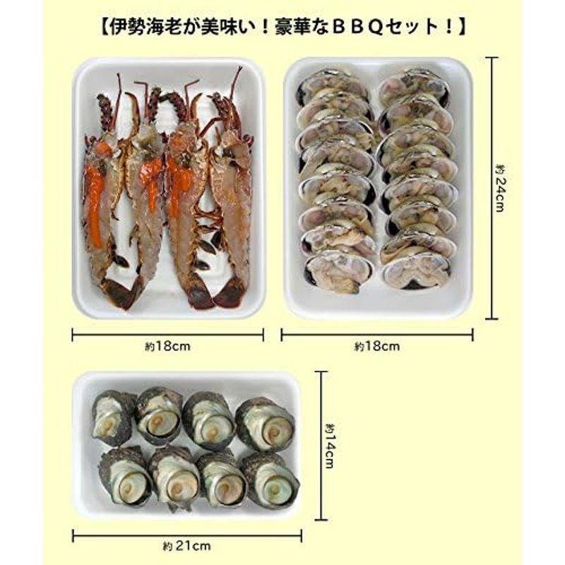 伊勢海老が美味い豪華なＢＢＱセット（伊勢海老×2尾サザエ8個大アサリ8個）魚介類