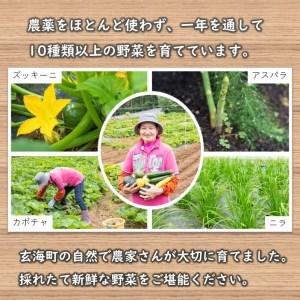 ふるさと納税 いろどり野菜セット 佐賀県玄海町