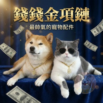 錢錢金項鏈💰 寵物金項鍊 貓咪項鍊 狗狗金項鍊 狗金項鍊 寵物項鍊 貓咪金項鍊 寵物配件寵物飾品寵物項圈金項鍊柴犬柯基