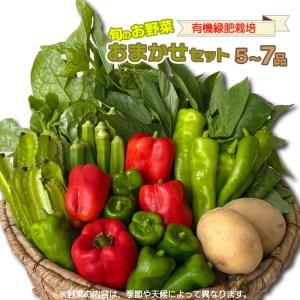 ふるさと納税 無農薬 野菜 おまかせ セット 5〜7品 香川県さぬき市