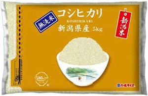 [ブランド] 新潟県産 無洗米 コシヒカリ 5kg 令和4年産