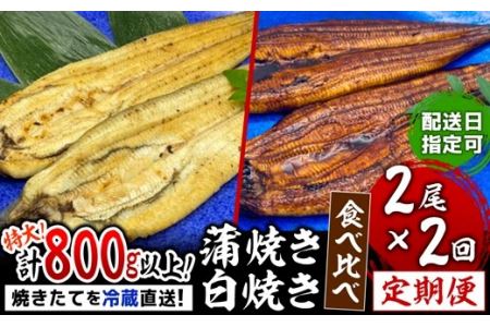 九州産うなぎ白焼き2尾・蒲焼き2尾の2回定期便♪焼きたて直送！！YS0010