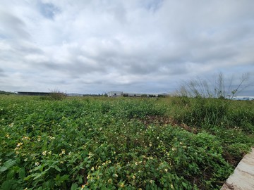 稀有釋出一般農業區低於市場行情農地｜台中市清水區東山段