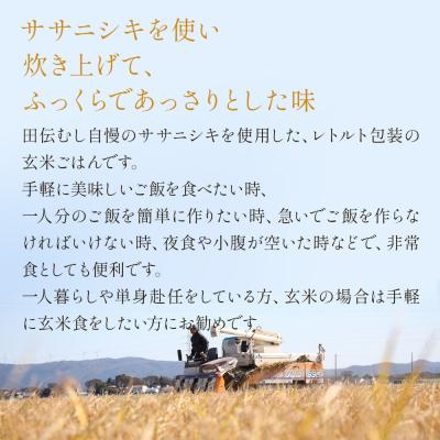 ふるさと納税 石巻市 ササニシキ玄米ごはん 160g × 20個