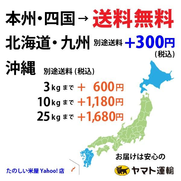 新米 龍の瞳 5kg　岐阜県産 令和5年産米　白米　ご注文後に精米・発送 送料無料（一部地域加算送料）