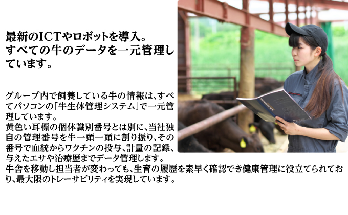 サロマ和牛 ヒレ 1頭分 ステーキカット 約200g×30枚前後 北海道 オホーツク 佐呂間町 肉 牛肉 和牛 ヒレ肉