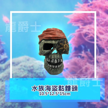 ✨現貨✨[龍爵士水族]水族海盜骷髏頭裝 飾品 造景 擺飾 飾品 擺件 魚缸造景 魚缸擺飾 魚躲藏    Z16