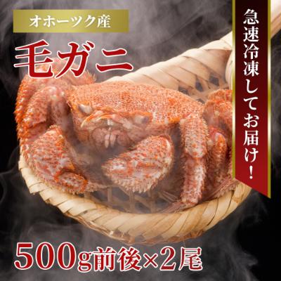 ふるさと納税 旭川市 北海道産　毛ガニ　500g前後×2尾