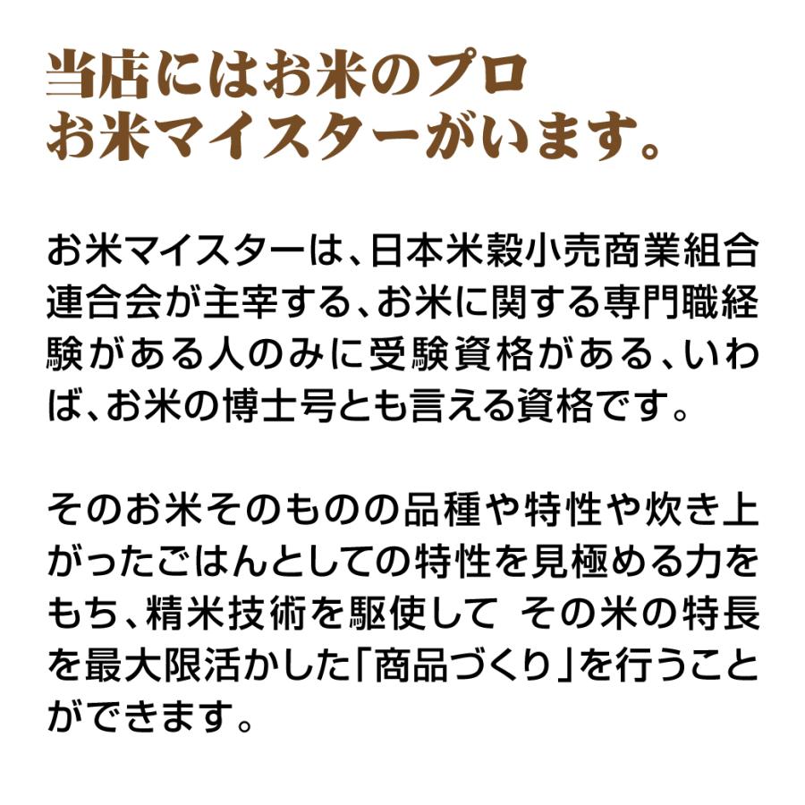 新米 令和5年産 特別栽培米 コシヒカリ 源流そだち 鳥取県産 5kg 米 お米 白米 R5