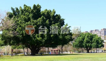 北屯中國醫富暘雲山境全新角間臨路電梯別墅｜台中市北屯區祥順一街