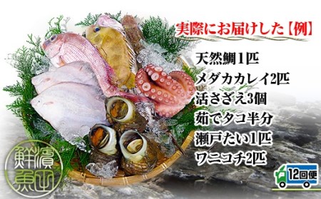 創業100年の魚屋さんが選び抜いた旨い鮮魚直送便～