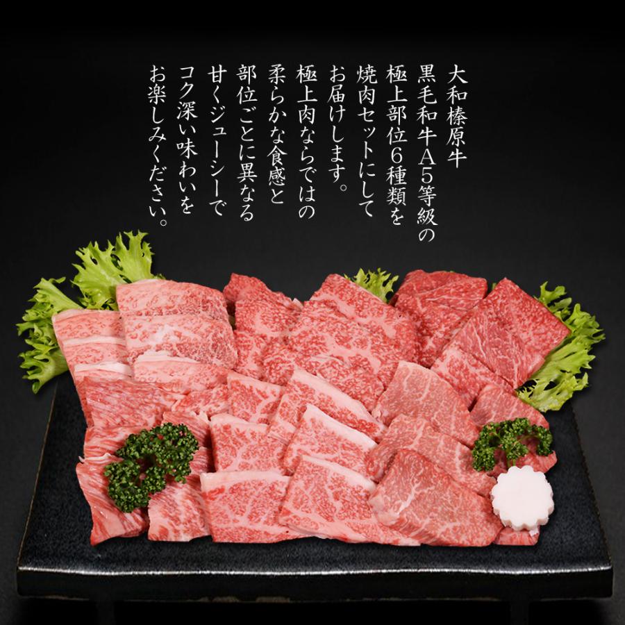 焼肉 セット 国産 大和榛原牛 6種盛り 360g 食べ比べ 焼肉 セット みすじ ウデ ロース イチボ カルビ モモ 各60g 送料無料 黒毛和牛 A5 冷凍便