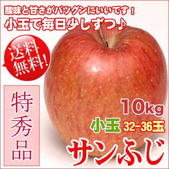 サンふじ 10kg 32-36玉 小玉 特秀 ギフト 送料無料 長野リンゴ