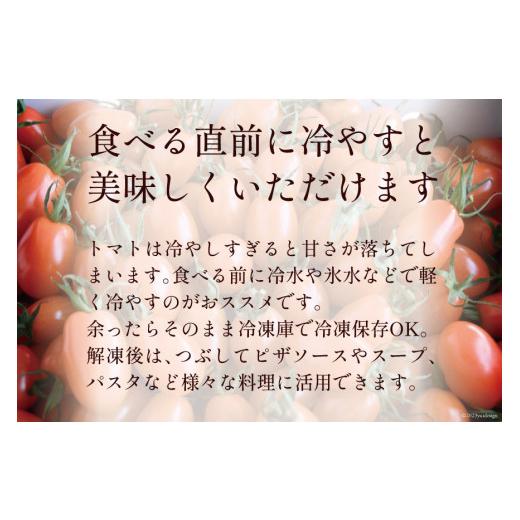 ふるさと納税 長崎県 島原市 AF014 全国にファンがいる高級フルーツトマト たっぷり！アイコ 1kg