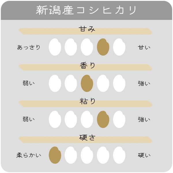 新米 5kg 新潟県産コシヒカリ お米 5キロ 令和5年産 こしひかり 産直 精米 白米