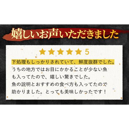 ふるさと納税 朝獲れ！平戸地魚詰合せ定期便[KAA304]  長崎 平戸 魚介類 魚 鮮魚 内臓処理 下処理 旬魚 .. 長崎県平戸市