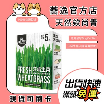 汪喵星球  貓草新鮮栽培盒/貓薄荷/小麥草/化毛/貓零食