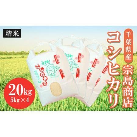 ふるさと納税 令和5年産　千葉県産 コシヒカリ（精米）20kg（2023年9月上旬から発送）SHM003 千葉県白子町