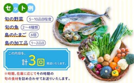 壱岐産食材詰め合わせBOX「野菜と魚」 [JBF024] 詰め合わせ 野菜 卵 鮮魚 セット 120000 120000円 12万円