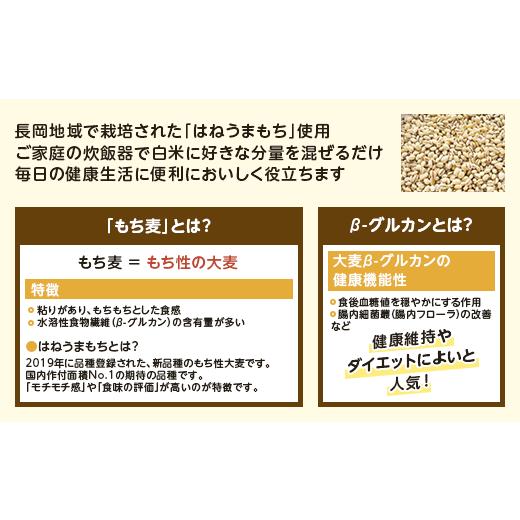 ふるさと納税 新潟県 長岡市 G8-13新潟県産はねうまもち（もち麦）500g×6袋入