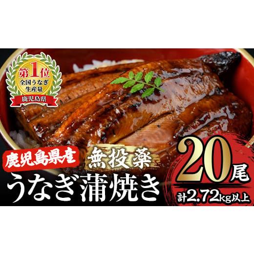 ふるさと納税 鹿児島県 鹿屋市 2122 鹿児島県産うなぎ蒲焼20尾