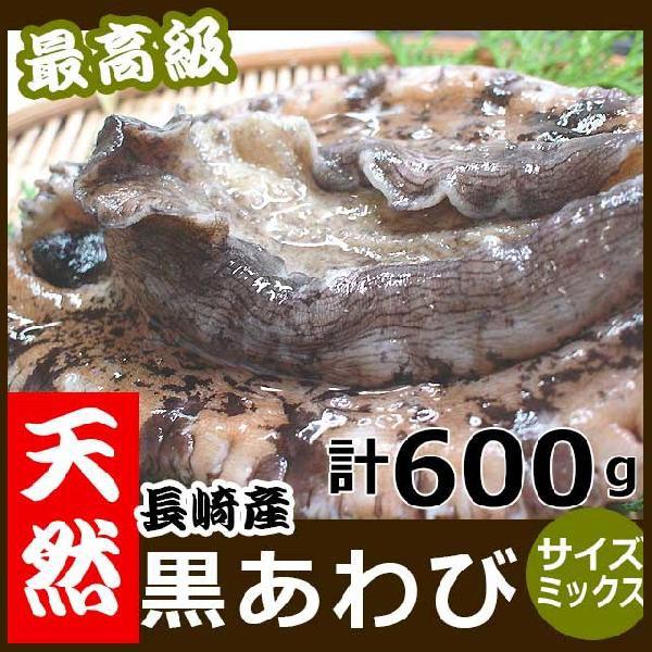 予約受付中 12 27よりお届け 天然黒アワビ(黒あわび) 中・小ミックス 計600g 送料無料 よか鮑 黒アワビ