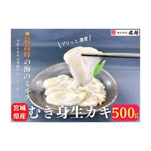 ふるさと納税 宮城県 南三陸町 宮城県産むき牡蠣（生食用）500g