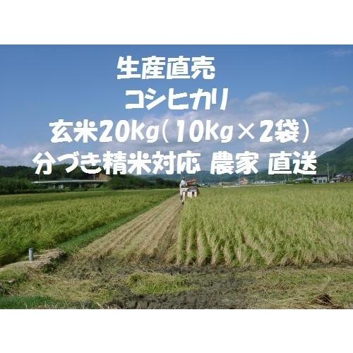 玄米20kg（10kg×2袋）令和５年産新米 コシヒカリ 精米・分搗き精米対応