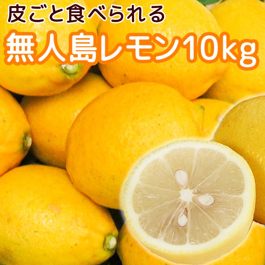 農園直送　広島産 無人島のレモン 約１０ｋｇ サイズいろいろ 皮まで食べられます 送料込み 国産レモン 越智農園 お土産