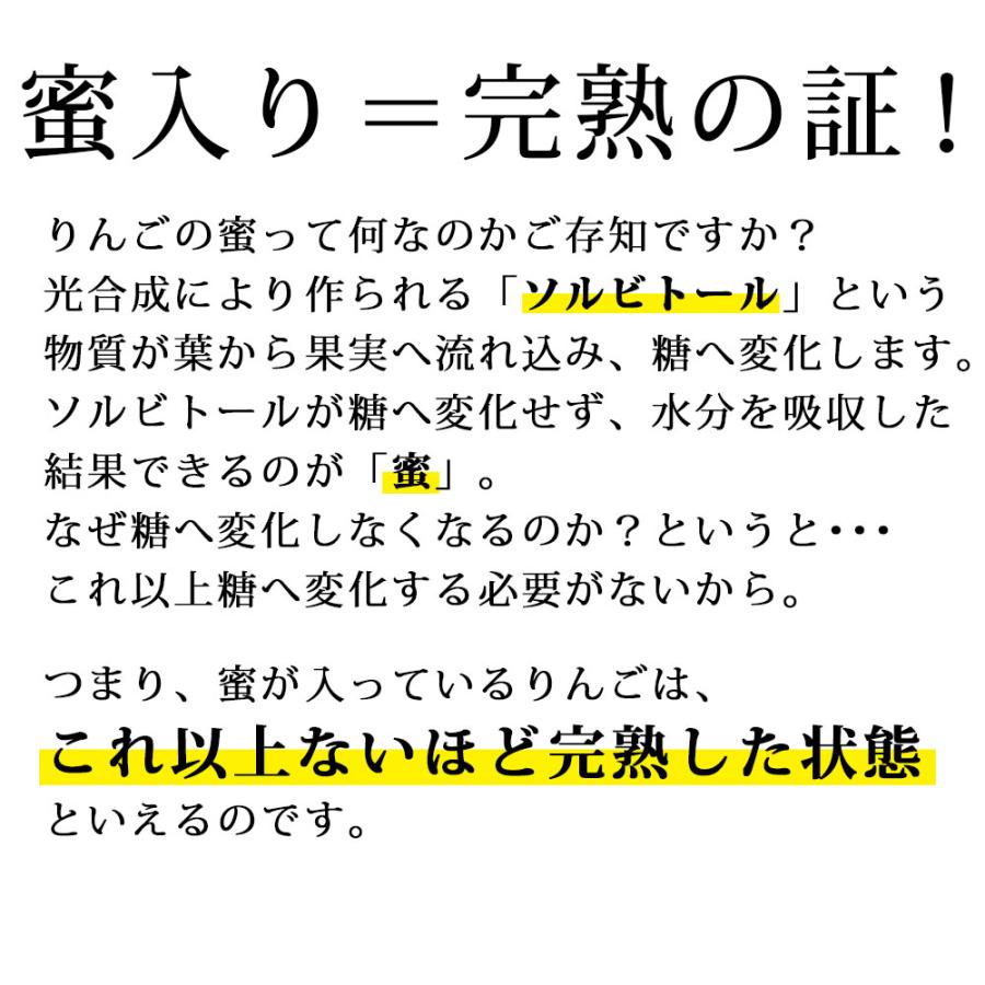 フルーツ 山形のラフランス と 富士りんご 3kg 詰め合わせセット 11月下旬からの発送予定