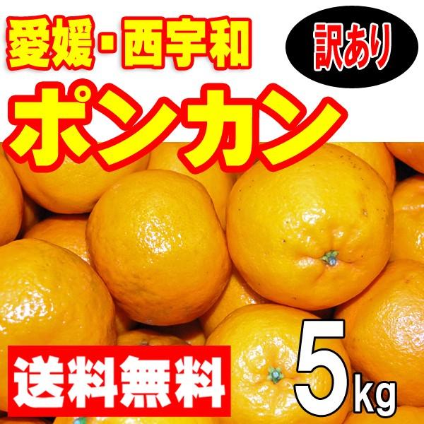 愛媛産　ポンカン　訳あり家庭用　５ｋｇ　送料無料　産地直送